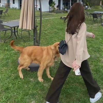 安乐街